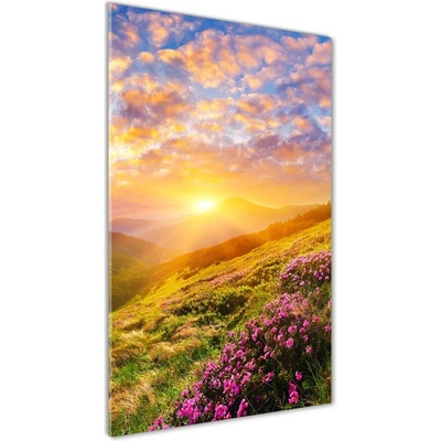 Vertikálny fotoobraz na skle Západ slnka hory 50x100 cm