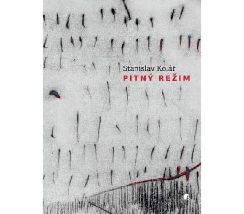 Pitný režim