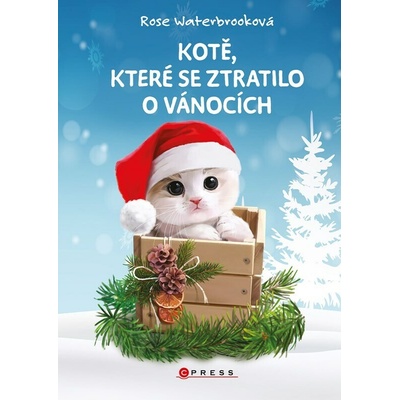 Kotě, které se ztratilo o Vánocích