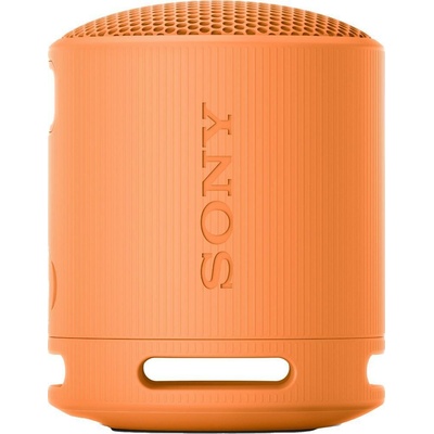 Sony SRSXB100D.CE7