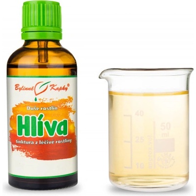 Bylinné kapky Hliva kvapky Duša rastlín tinktúra z hlivy 50 ml