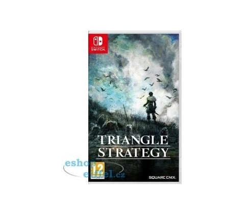 Triangle Strategy