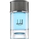 Dunhill Signature Collection Nordic Fougere parfémovaná voda pánská 100 ml