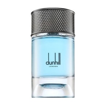 Dunhill Signature Collection Nordic Fougere parfémovaná voda pánská 100 ml