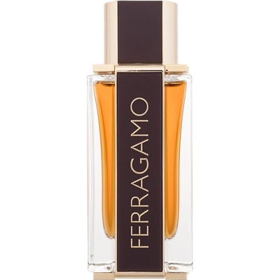 Salvatore Ferragamo Ferragamo Spicy Leather parfum pánsky 100 ml