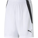 Puma TEAMLIGA shorts JR