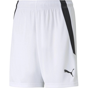 Puma TEAMLIGA shorts JR