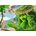 Ravensburger - Puzzle Disney: Vaiana - 1 000 piese