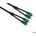 AudioQuest Evergreen 5 m
