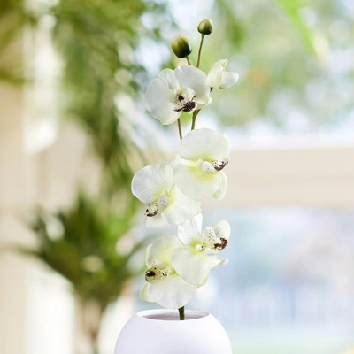 Weltbild Weltbild Umelá orchidea, biela