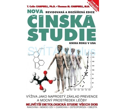 Čínská studie