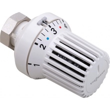 Viessmann TK 100