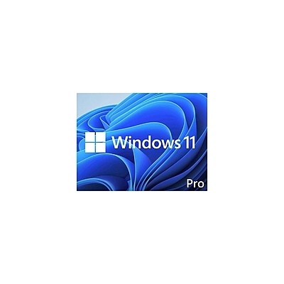 Microsoft Win 11 pro 64bit eng dsp dvd (win 11 pro 64bit eng dsp dvd)