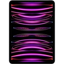 Apple iPad Pro 11 (2022) 2TB Wi-Fi Space Gray MNXM3FD/A