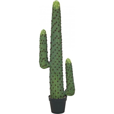 Mexický kaktus zelený, 117 cm