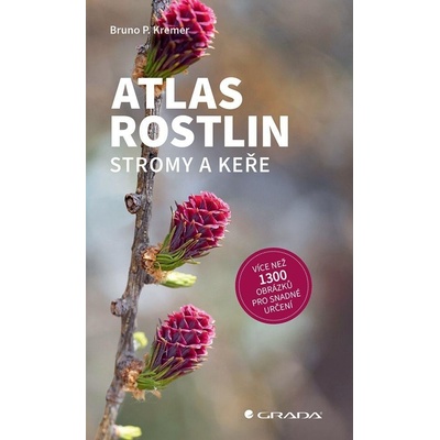 Atlas Bylin Podle Obrazku (podle obrázku, preferuje slunná) Atlas Bylin Podle Obrazku