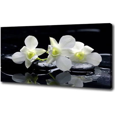 Foto-obraz canvas do obývačky Orchidea 100x50 cm