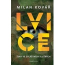 Lvice