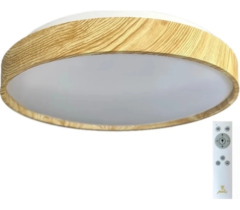 NEDES ND3801