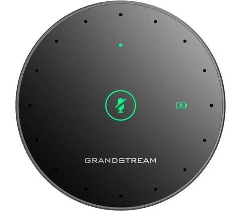 Grandstream GMD1208