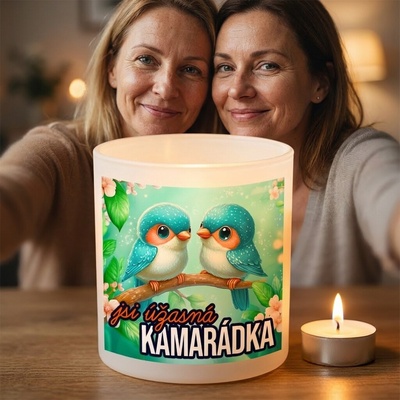 Ahome CZ Originální skleněný svícen Jsi úžasná kamarádka – Hledejceny.cz