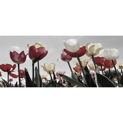 Bondecor Obraz, tlačené plátno Romance 50 x 120 cm