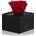 RoseAmor Red стабилизирана роза в кутия