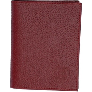 Big star ВИЗИТНИК-ПОРТФЕЙЛ big star red (7 2)