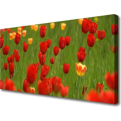 Obraz na plátně Tulipány Rostlina 100x50 cm