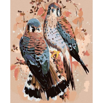 zuty Malování podle čísel Dvě poštolky 80 x 100 cm vypnuté plátno na rám 8596530039594