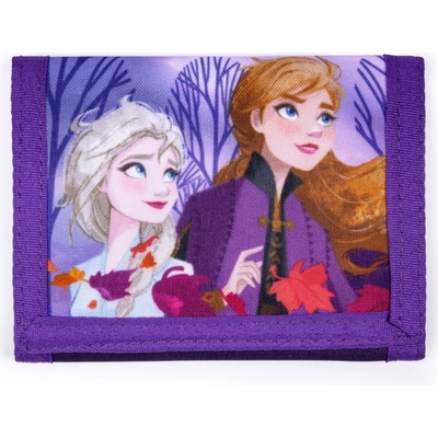Karton P+P Frozen