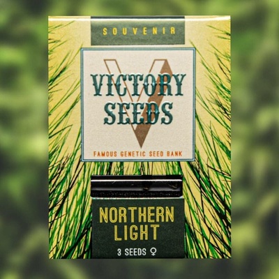 Victory Seeds Northern Light semena neobsahují THC 10 ks