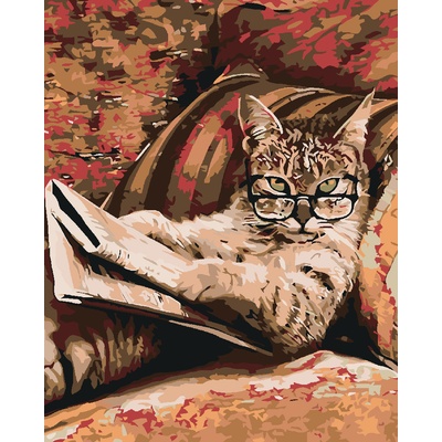 Zuty Malování podle čísel KOČKA S BRÝLEMI