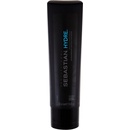 Sebastian Foundation Hydre Shampoo 250 ml