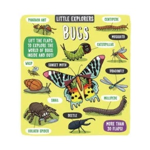 Little Explorers: Bugs (ISBN: 9781783708659)