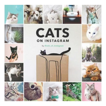 Cats On Instagram | @cats_of_instagram