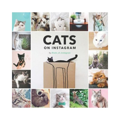 Cats On Instagram | @cats_of_instagram