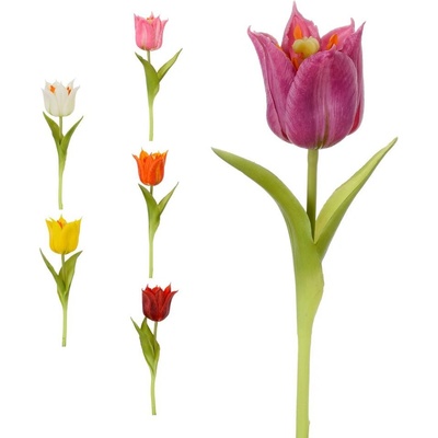 KS TULIPÁN 6F 24CM