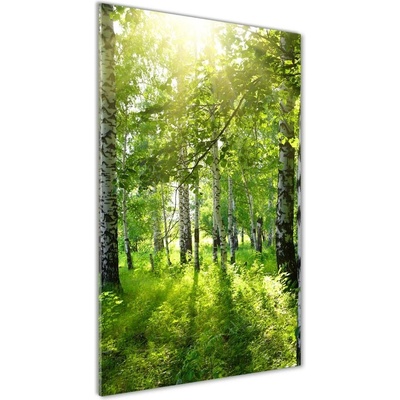 Vertikálny foto obraz sklenený Brezový les 50x100 cm