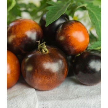 BIO Paradajka Brown Berry - Solanum lycopersicum - bio semená paradajky - 7 ks