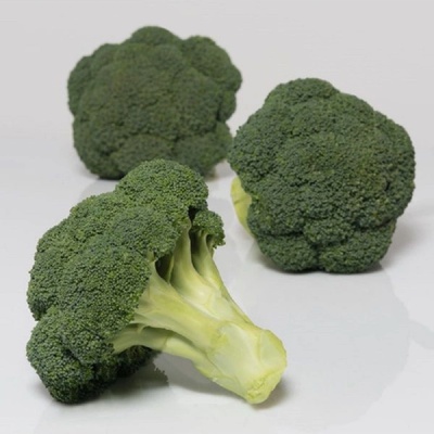 BIO Brokolica Covina F1 - Brassica oleracea L. - bio semená brokolice - 20 ks