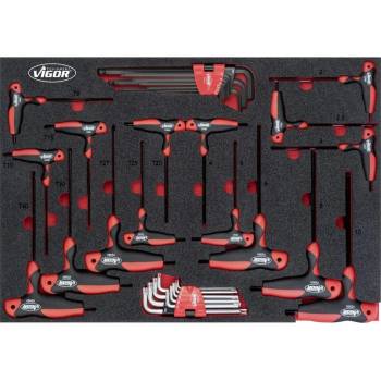 Vigor V5175