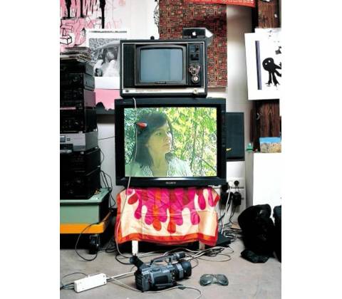 MINUSCULE INTEGRALE DVD