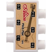 Alice A001 Guitar