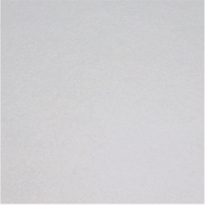 fleece polar bílá 250g/m
