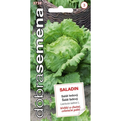 Dobrá semena Salát celoroční ledový Saladin 0,6 g