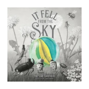 It Fell From The Sky | ERIC FAN (ISBN: 9780711270657)
