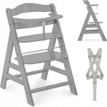 Hauck Alpha + drevená grey