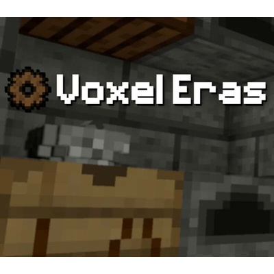 Voxel Eras