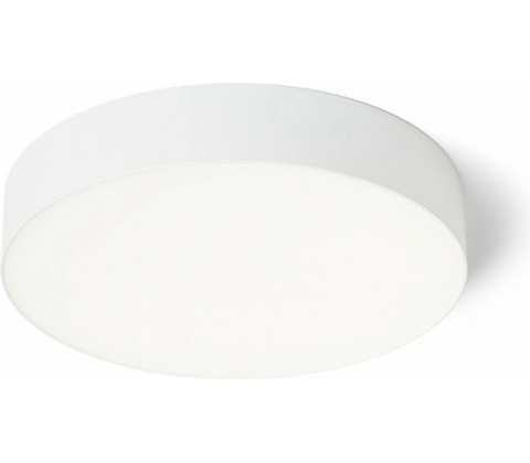 Rendl R14442